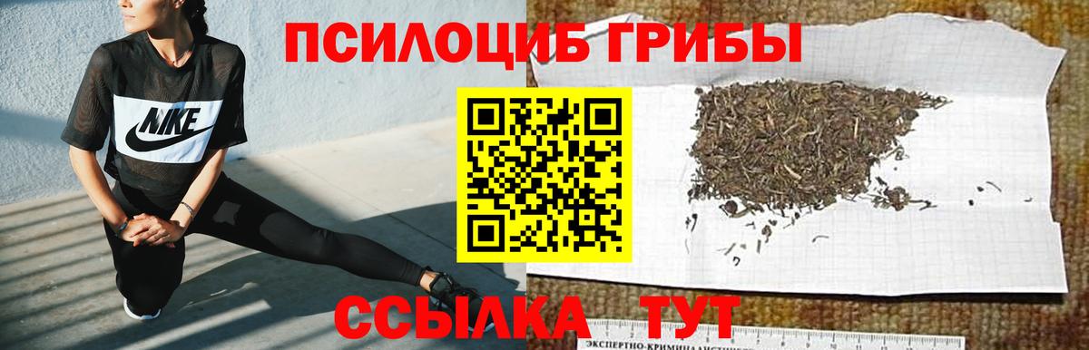 Сертолово  Псилоцибиновые грибы Psilocybe  Вход с VPN 